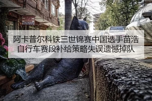 a-ka-pu-er-ke-tie-san-shi-jin-sai-zhong-guo-xuan-shou-miao-hao-zi-xing-che-sai-duan-bu-ji-ce-lve-shi-wu-yi-han-diao-dui-2-134.jpg