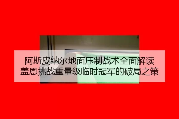 a-si-pi-na-er-di-mian-ya-zhi-zhan-shu-quan-mian-jie-du-gai-en-tiao-zhan-zhong-liang-ji-lin-shi-guan-jun-de-po-ju-zhi-ce-2-569.jpg